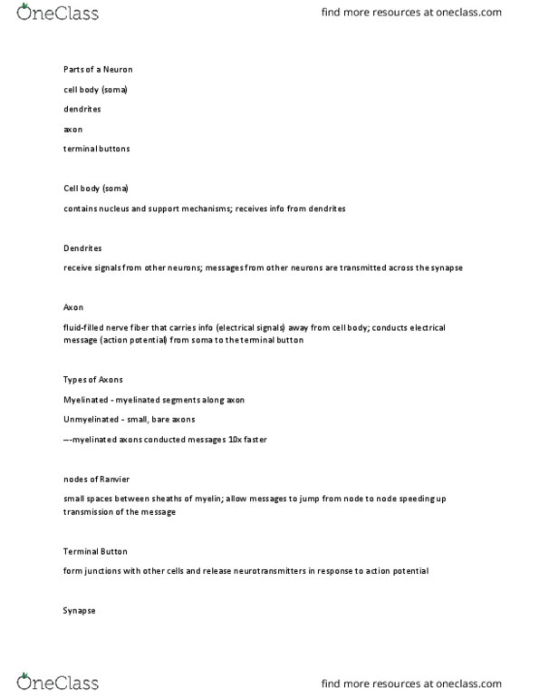 PSB 3002 Lecture Notes - Lecture 31: Intermediate Filament, Nucleolus, Axoplasm thumbnail