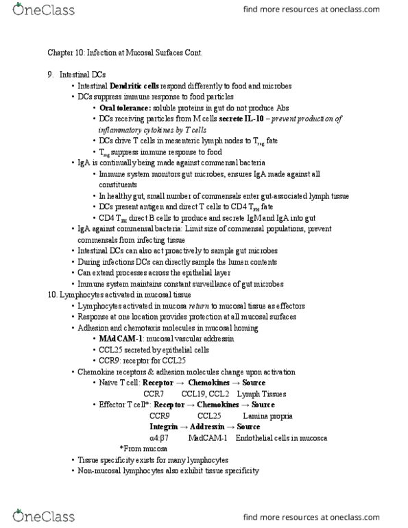 CAS BI 385 Lecture Notes - Lecture 21: Eosinophil, Basement Membrane, Intestinal Epithelium thumbnail