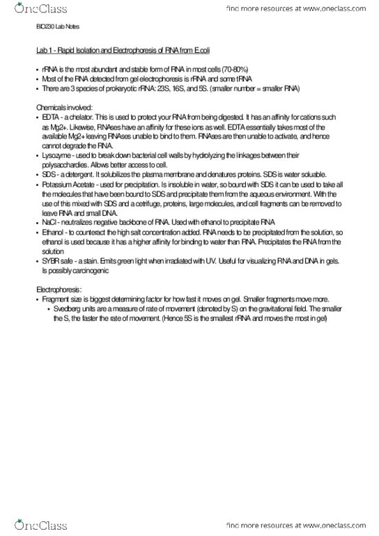 BIO230H1 Lecture Notes - Kinesin, Fume Hood, Blastoderm thumbnail