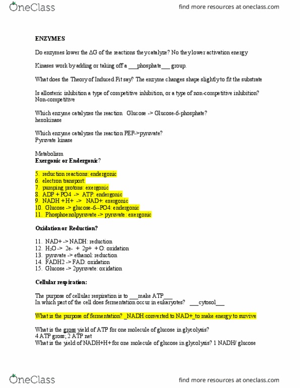 BIOL 101 Lecture Notes - Lecture 8: Intermembrane Space, Glyceraldehyde 3-Phosphate, Rubisco thumbnail