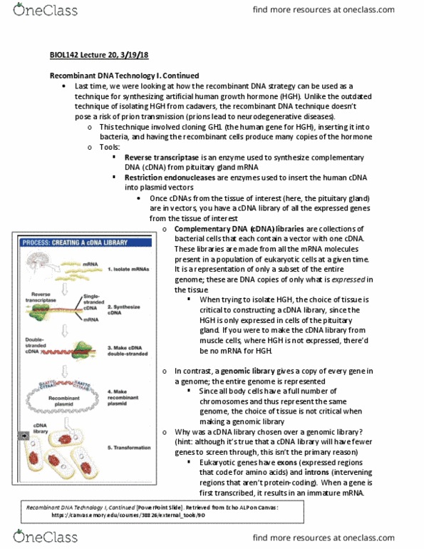 BIOL 142 Lecture Notes - Lecture 20: Taq Polymerase, Lysis, Guanosine thumbnail