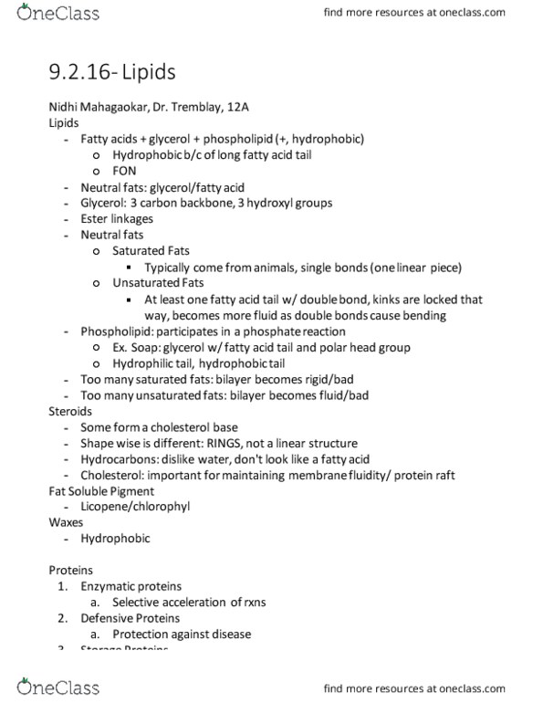 BIOL 141 Lecture Notes - Lecture 4: Sickle-Cell Disease, Alpha Helix, Hydrolysis thumbnail