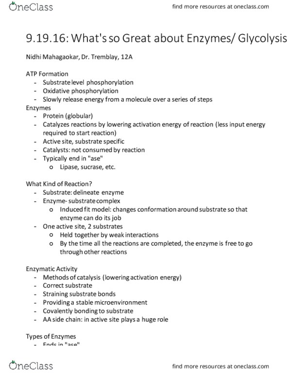 BIOL 141 Lecture Notes - Lecture 10: Cellular Respiration, Adenine, Pyruvic Acid thumbnail