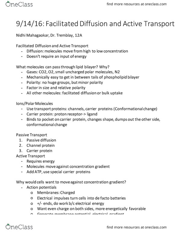 BIOL 141 Lecture Notes - Lecture 8: Pinocytosis, Exocytosis, Phagocytosis thumbnail