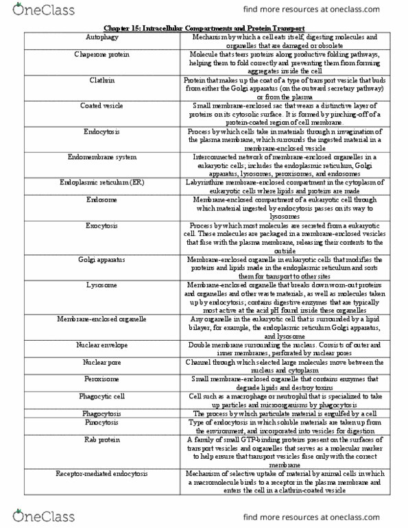 BIOL 212 Chapter Notes - Chapter 15: Hydrophile, Hydrolysis, Transcytosis thumbnail