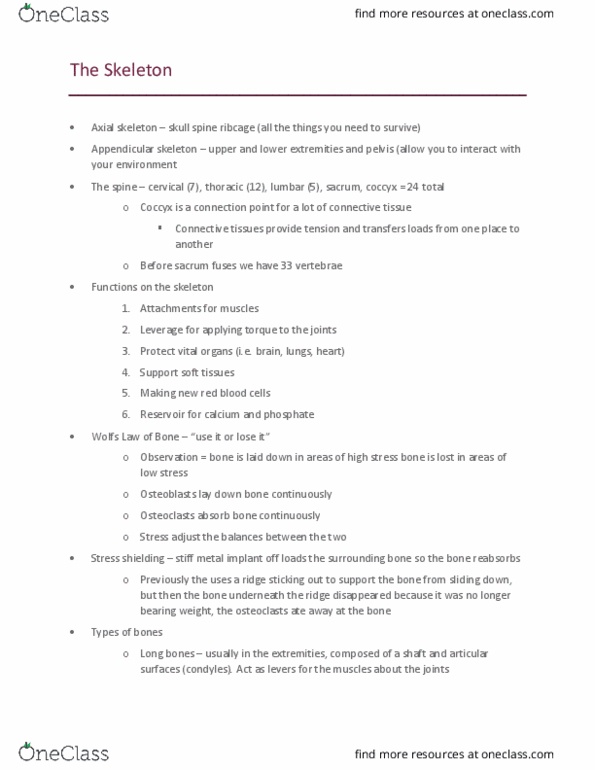 Kinesiology 2241A/B Lecture Notes - Lecture 2: Periosteum, Diaphysis, Scapula thumbnail