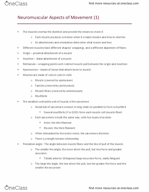 Kinesiology 2241A/B Lecture Notes - Lecture 6: Rectus Femoris Muscle, Vastus Medialis, Brachialis Muscle thumbnail