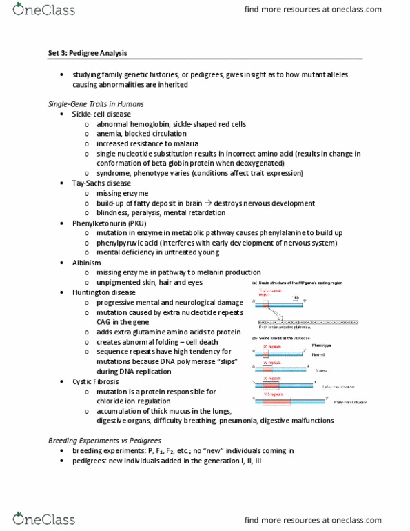 BIOL239 Lecture Notes - Lecture 3: Chromosome, Y Chromosome, Cystic Fibrosis thumbnail