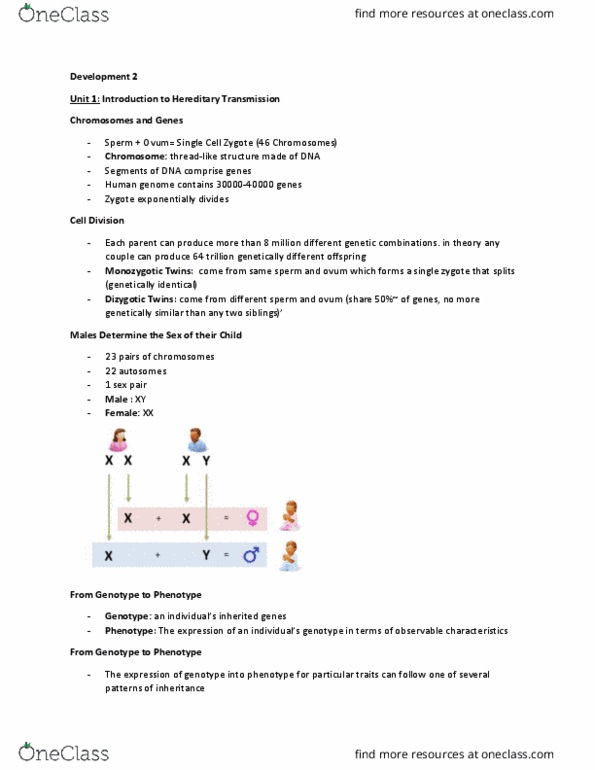 PSYCH 1XX3 Lecture Notes - Lecture 3: Zygosity, Abo Blood Group System, Fluid And Crystallized Intelligence thumbnail