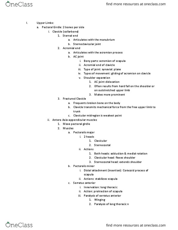 ANATOMY 403 Lecture Notes - Lecture 19: Interossei, Fibrocartilage, Carpal Tunnel thumbnail