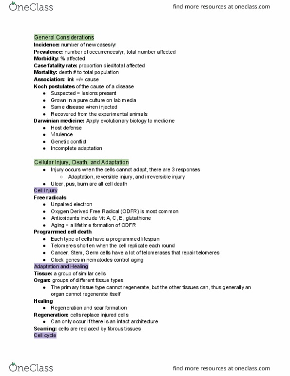 PATH 3610 Chapter Notes - Chapter 10: Hyperplasia, Blood Gas Tension, Creatine Kinase thumbnail