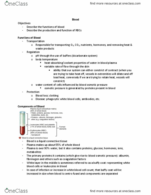 HTHSCI 1H06 Lecture Notes - Lecture 5: Partial Pressure, Complete Blood Count, Bone Marrow thumbnail