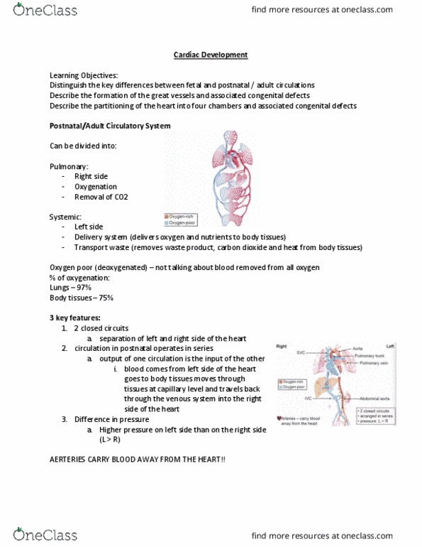 HTHSCI 1H06 Lecture Notes - Lecture 2: Overriding Aorta, Gas Exchange, Pulmonary Valve thumbnail