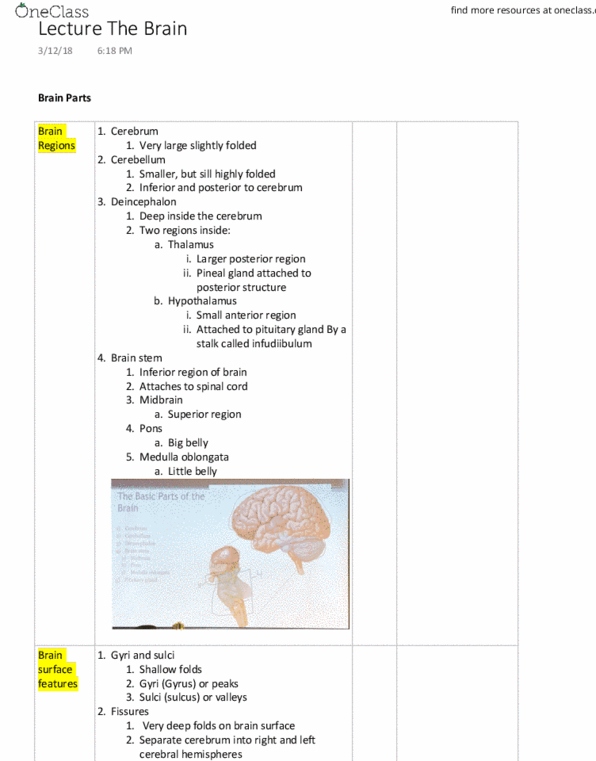 MICRO 20 Lecture Notes - Lecture 6: Medulla Oblongata, Vestibulocochlear Nerve, Oculomotor Nerve thumbnail