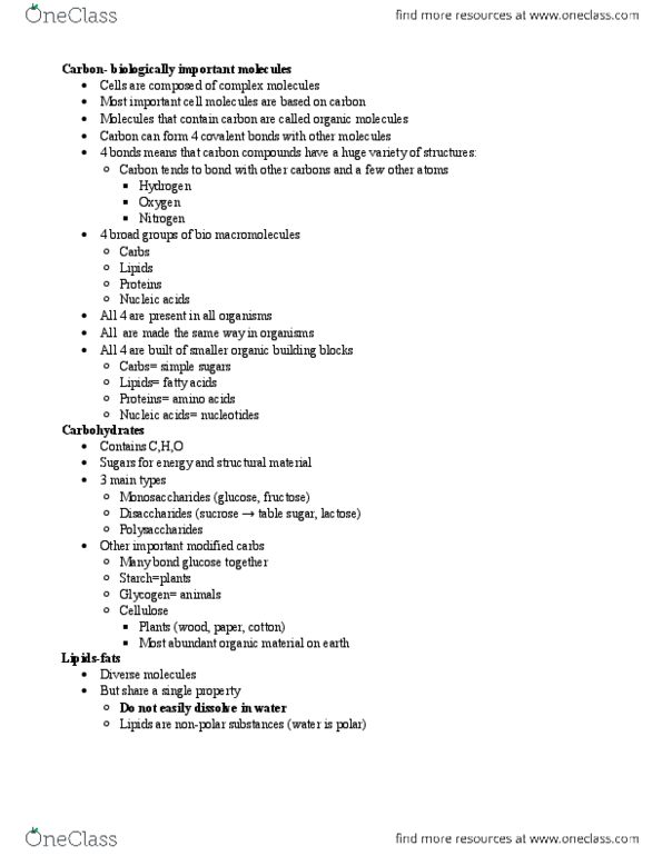 BIO 105 Lecture Notes - Ribose, Deoxyribose, Pentose thumbnail