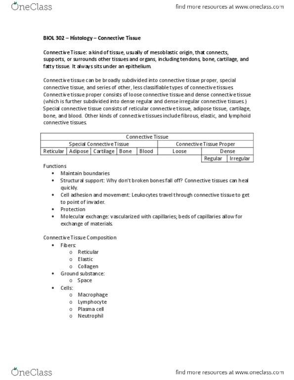 BIOL302 Lecture Notes - Epiglottis, Dermis, Chondrocyte thumbnail