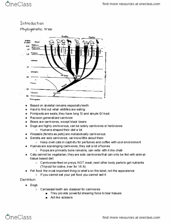 ANSC 4560 Lecture Notes - Lecture 5: Amylase, Cecum, Glycerol thumbnail