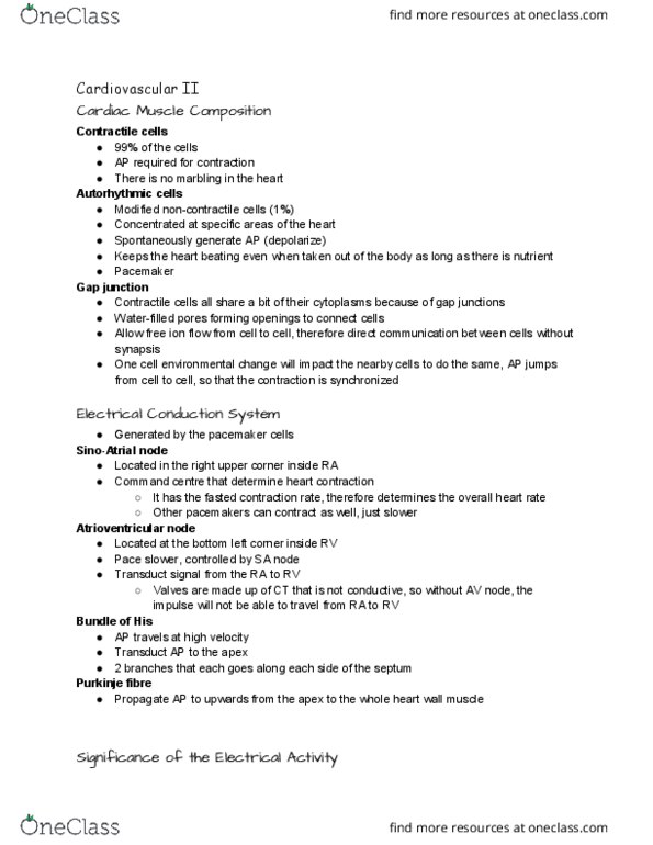 ANSC 3080 Lecture Notes - Lecture 9: Tachycardia, Skeletal Muscle, Cardiac Arrhythmia thumbnail