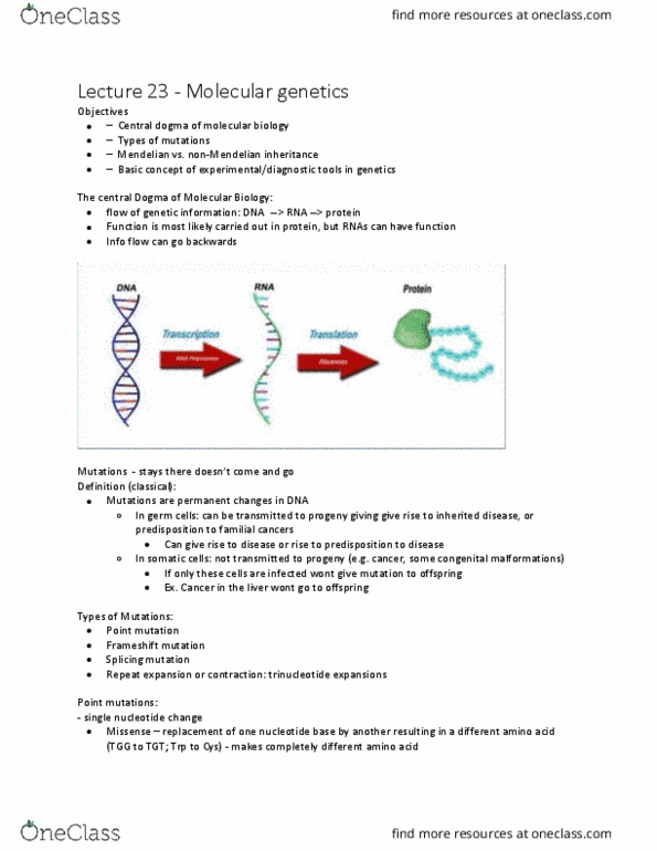 Pathology 3500 Lecture Notes - Lecture 23: Haploinsufficiency, Autosome, Monosomy thumbnail