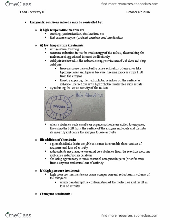 FDSC 305 Lecture Notes - Lecture 9: Aldehyde, Serine Protease, Myoglobin thumbnail