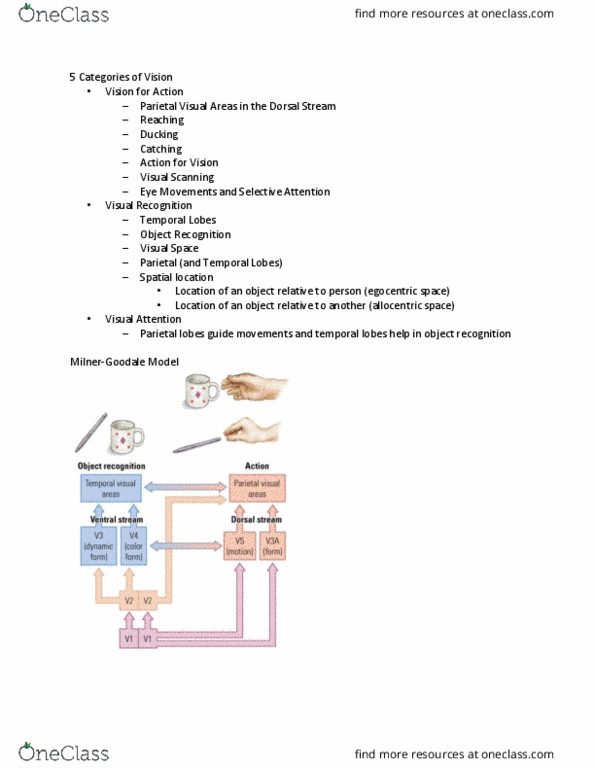 PSYCH 2NF3 Chapter Notes - Chapter Chap13.4: Hemianopsia, Prosopagnosia, Ken Wilber thumbnail