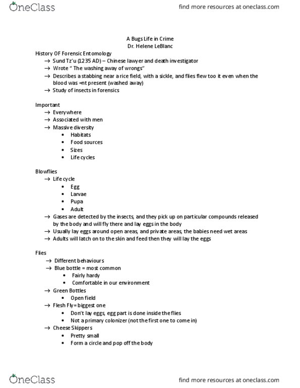 FSC239Y5 Lecture Notes - Lecture 3: Dermestidae, Collet, Ground Beetle thumbnail