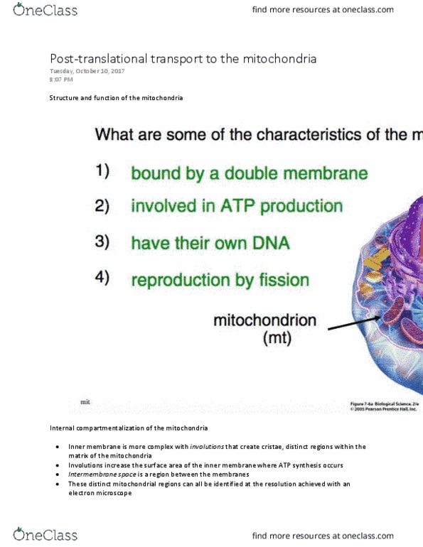 BIOLOGY 2B03 Lecture 4: Module 4: Lecture 2 - Post-translational transport to the mitochondria thumbnail