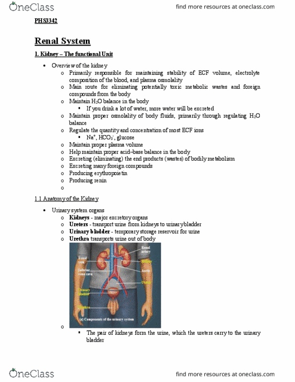 PHS 3342 Lecture Notes - Lecture 3: Amiloride, Osmoreceptor, Blood Urea Nitrogen thumbnail