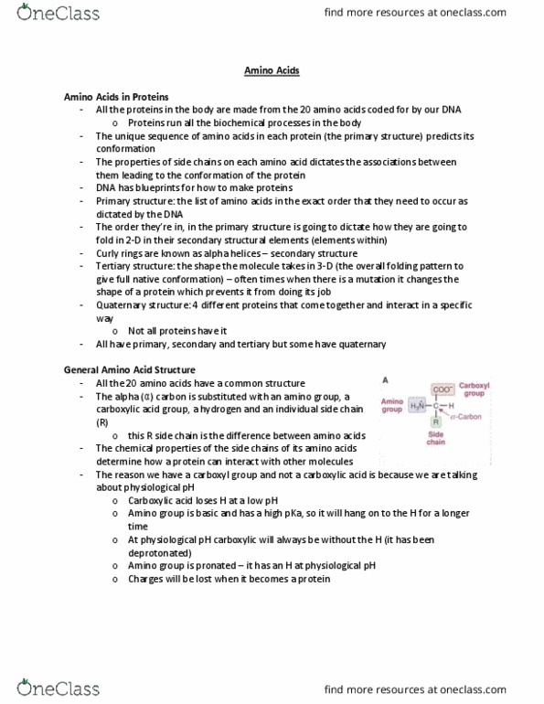 HTHSCI 1LL3 Lecture Notes - Lecture 4: Isoleucine, Zwitterion, Vitamin K Antagonist thumbnail