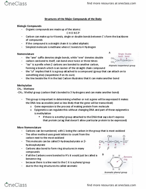 HTHSCI 1LL3 Lecture Notes - Lecture 3: Stereochemistry, 3 Ft Gauge Rail Modelling, Conjugate Acid thumbnail