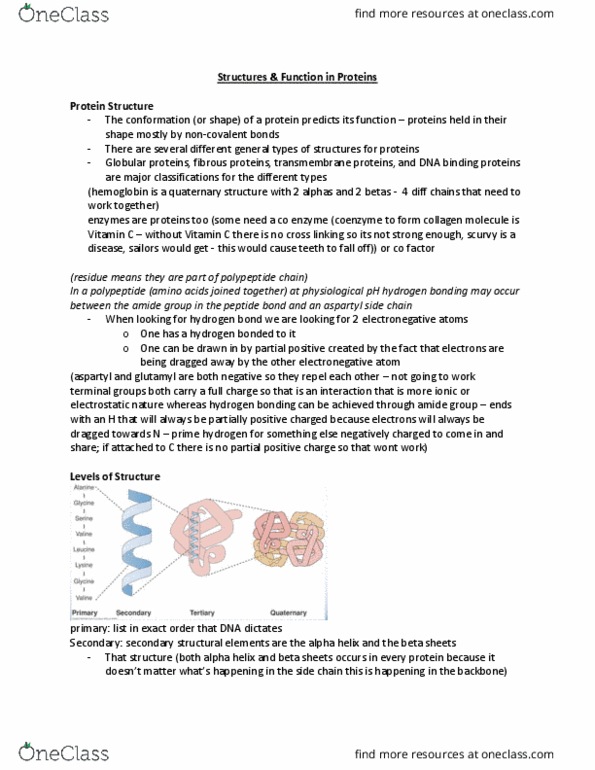 HTHSCI 1LL3 Lecture Notes - Lecture 5: Ribbon Diagram, Endothelium, Aliphatic Compound thumbnail