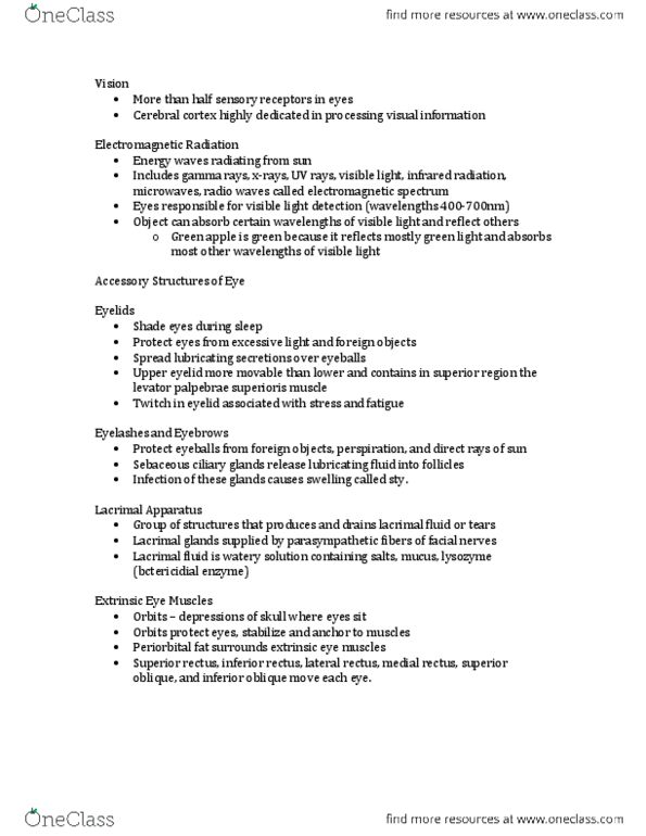 HTHSCI 1H06 Chapter Notes -Central Retinal Artery, Electromagnetic Spectrum, Inferior Rectus Muscle thumbnail