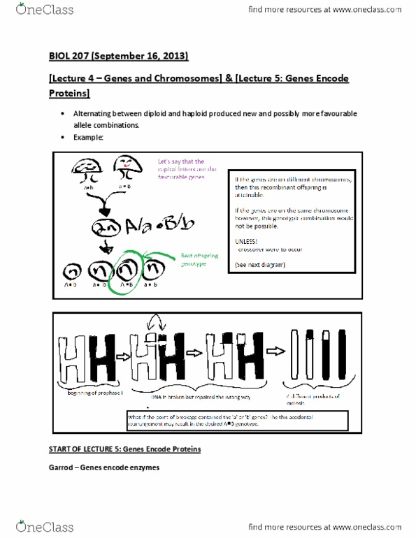 BIOL207 Lecture Notes - Lecture 4: Srb, Heredity, Citrulline thumbnail