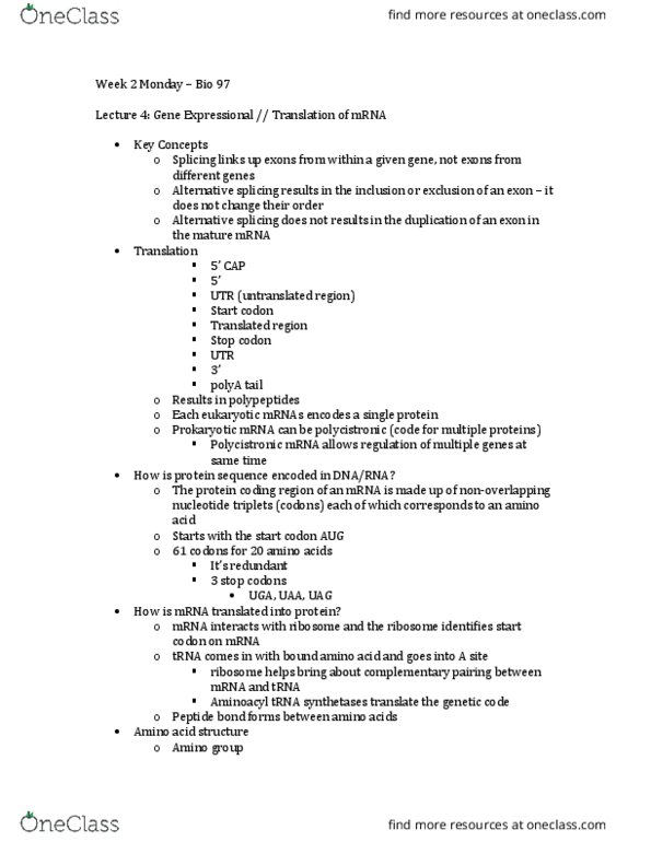 BIO SCI 97 Lecture Notes - Lecture 4: Prokaryotic Translation, Release Factor, Hydrolysis thumbnail