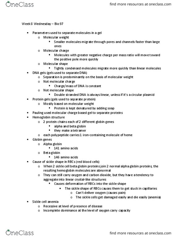 BIO SCI 97 Lecture Notes - Lecture 20: Restriction Enzyme, Hybridization Probe, Northern Blot thumbnail