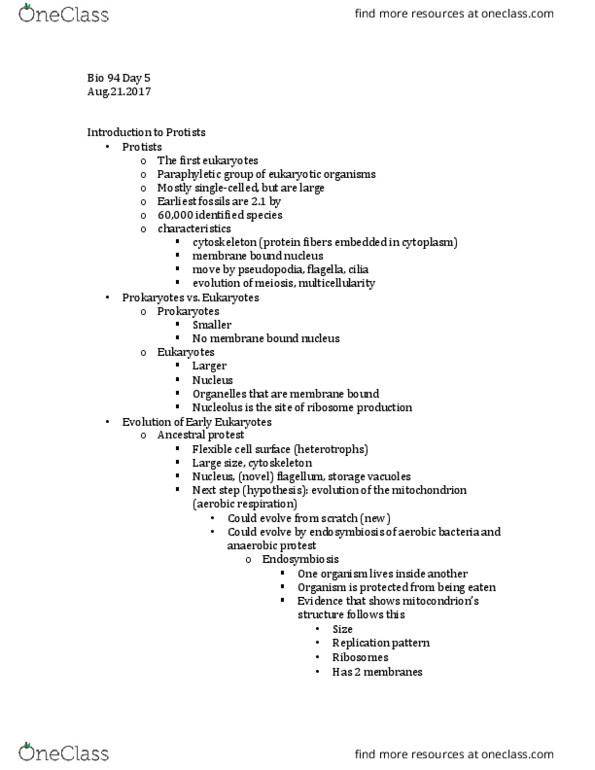 BIO SCI 94 Lecture Notes - Lecture 4: Synapomorphy, Sphagnum, Fertilisation thumbnail