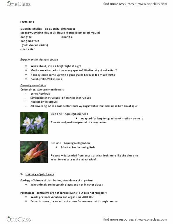 BIO120H1 Lecture Notes - No Rain, Wandering Albatross, Lapse Rate thumbnail