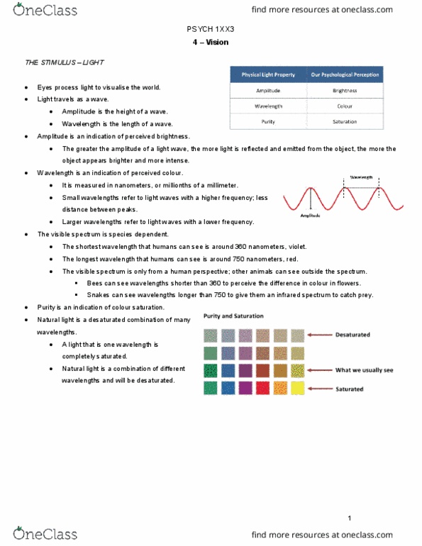 PSYCH 1XX3 Lecture Notes - Lecture 4: Thalamus, Inside Out Music, Vitreous Body thumbnail