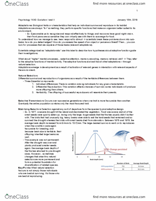 PSYCH 1XX3 Lecture Notes - Lecture 2: Eusociality, Hymenoptera, Phenotype thumbnail