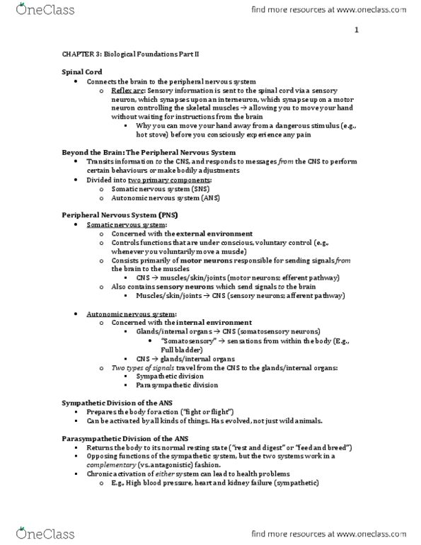 PSY100H1 Lecture Notes - Somatic Nervous System, Peripheral Nervous System, Autonomic Nervous System thumbnail