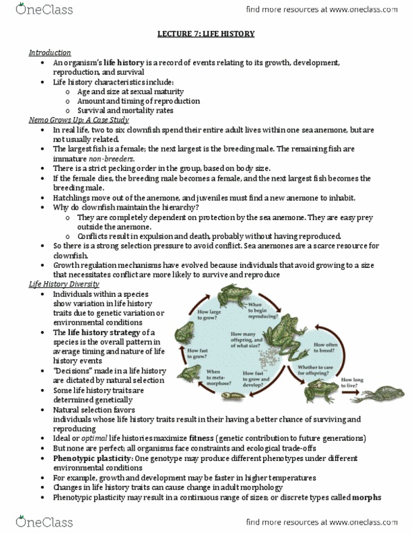 Biology 2483A Lecture Notes - Lecture 7: Sea Anemone, Asexual Reproduction, Amphiprioninae thumbnail