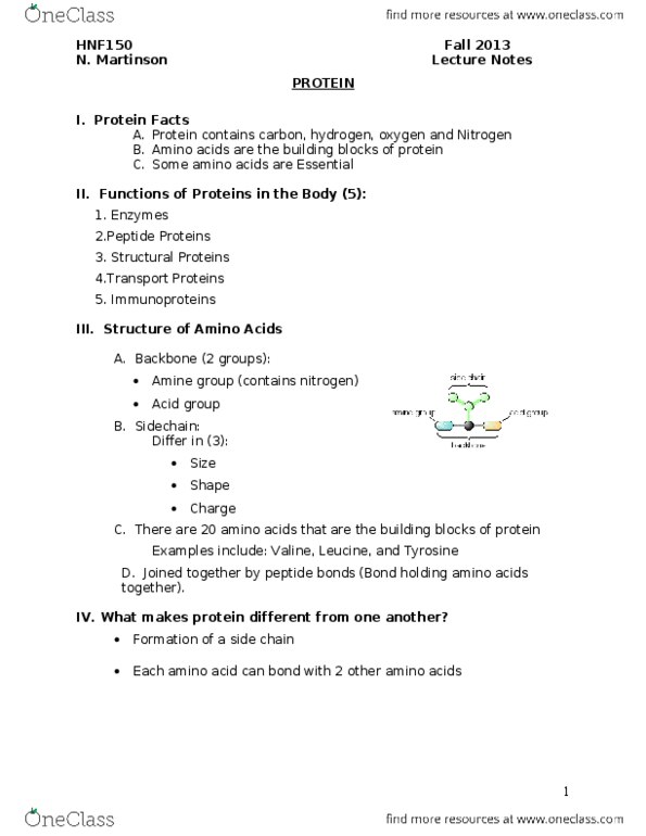 HNF 150 Lecture Notes - Essential Amino Acid, Sickle-Cell Disease, Valine thumbnail