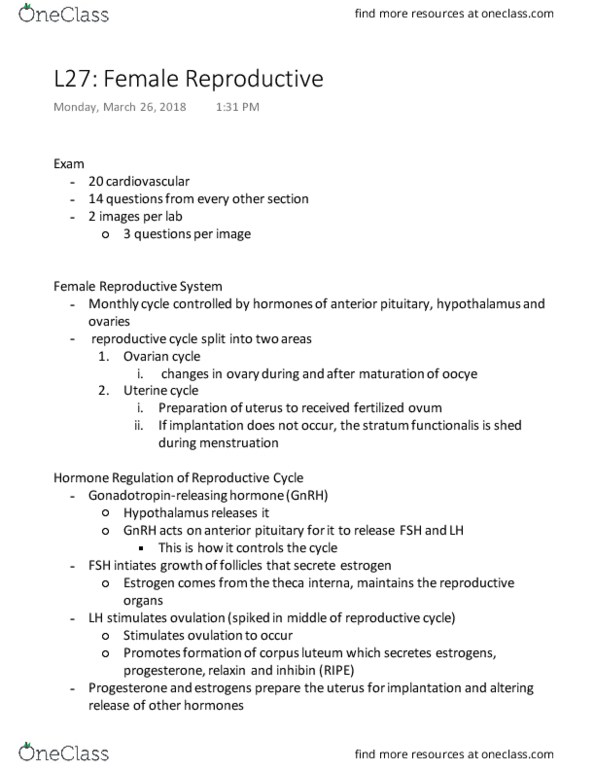 KINESIOL 2YY3 Lecture Notes - Lecture 27: Gonadotropin-Releasing Hormone, Theca Interna, Corpus Luteum thumbnail