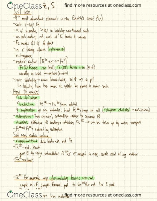 ESPM 131 Lecture Notes - Lecture 25: Active Transport, Pyrite, Termite thumbnail