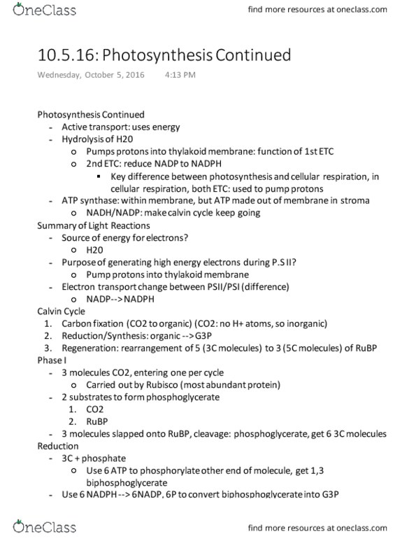 BIOL 141 Lecture Notes - Lecture 14: Thylakoid, Atp Synthase, Light-Independent Reactions thumbnail