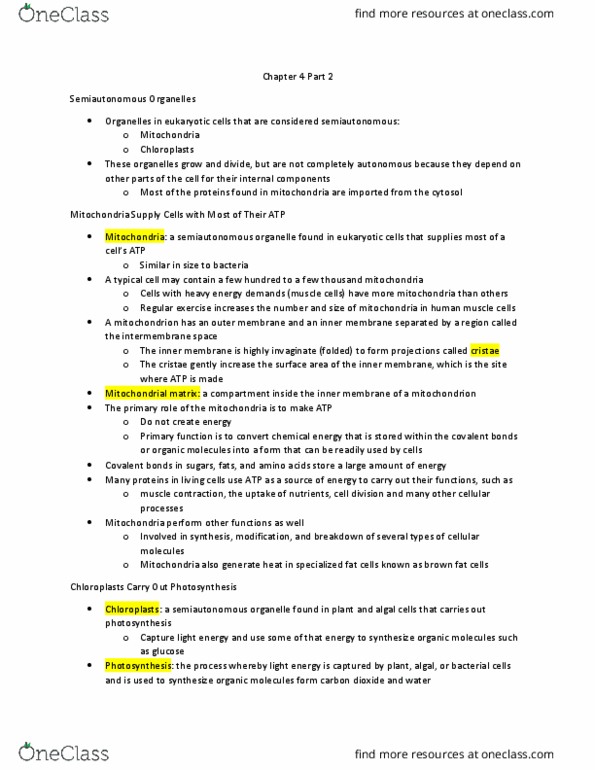 BIO 201 Chapter Notes - Chapter 5: Mitochondrial Matrix, Intermembrane Space, Brown Adipose Tissue thumbnail