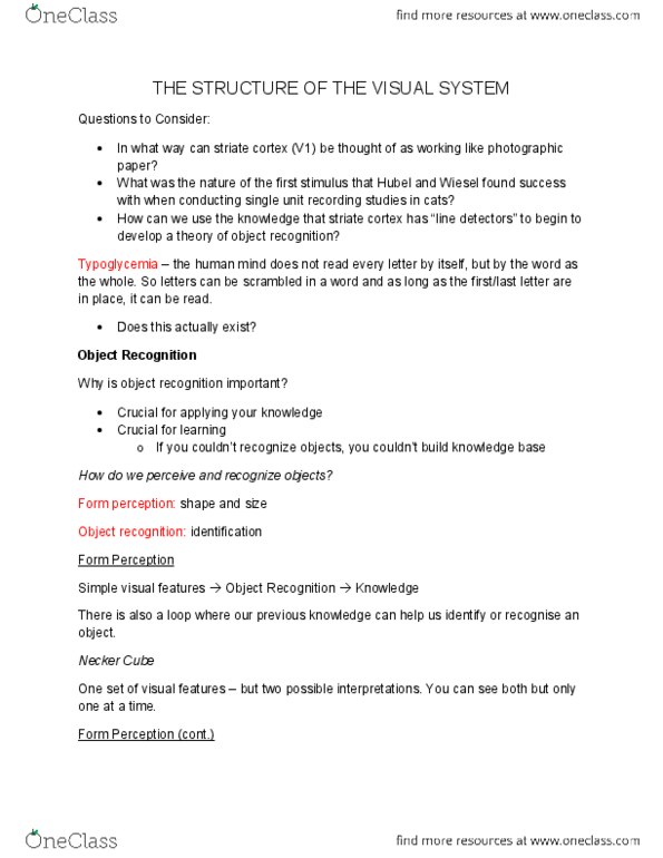 PSYB57H3 Lecture Notes - Lecture 5: Transcranial Magnetic Stimulation, Necker Cube, Outline Of Object Recognition thumbnail