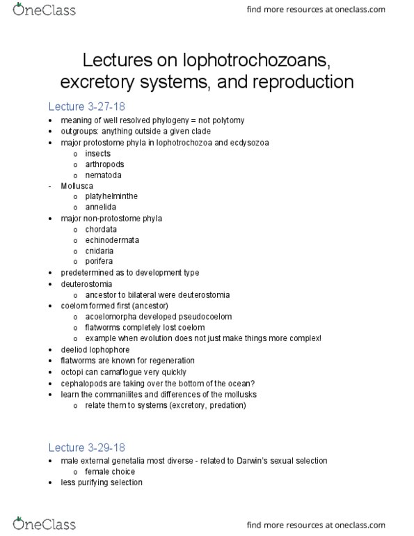 BIOL 1911 Lecture Notes - Lecture 13: Acoelomorpha, Deuterostome, Lophotrochozoa thumbnail