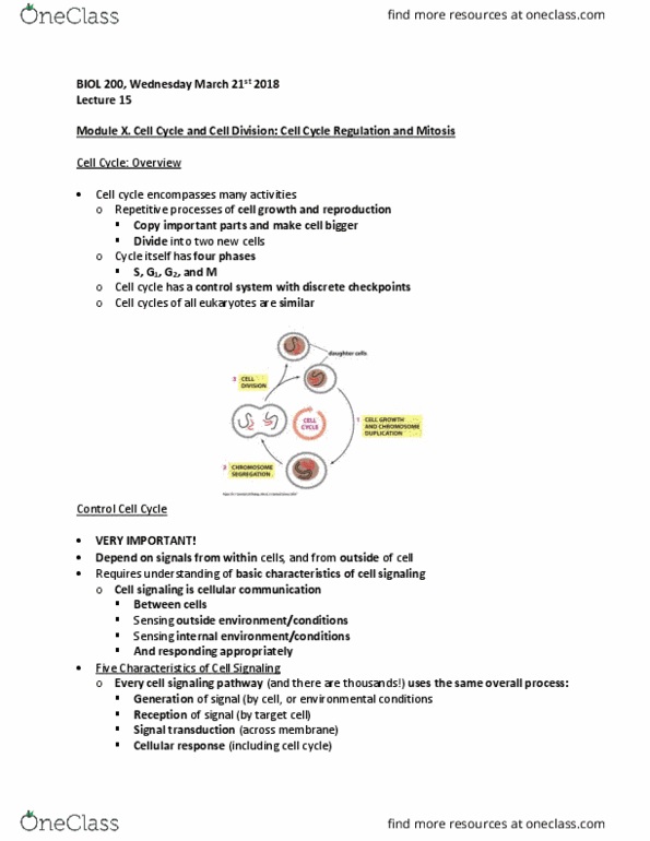 BIOL 200 Lecture Notes - Lecture 15: Cell Signaling, Mitosis, Proteolysis thumbnail