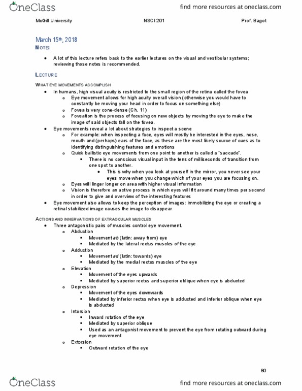 NSCI 201 Lecture Notes - Lecture 16: Medial Rectus Muscle, Lateral Rectus Muscle, Inferior Rectus Muscle thumbnail